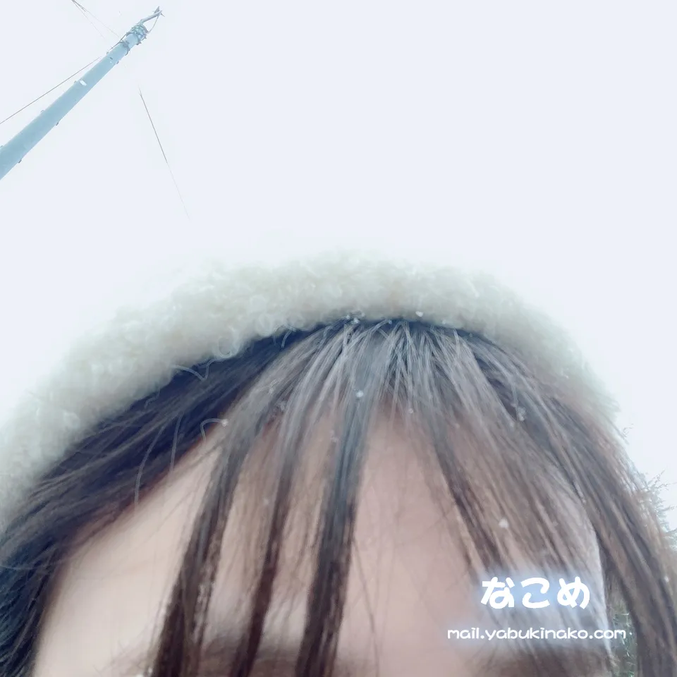 なこめ🕊